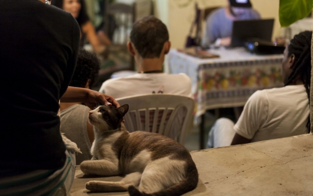 Paulo Oliveira / PROfotografia Paulo Oliveira / PROfotografia